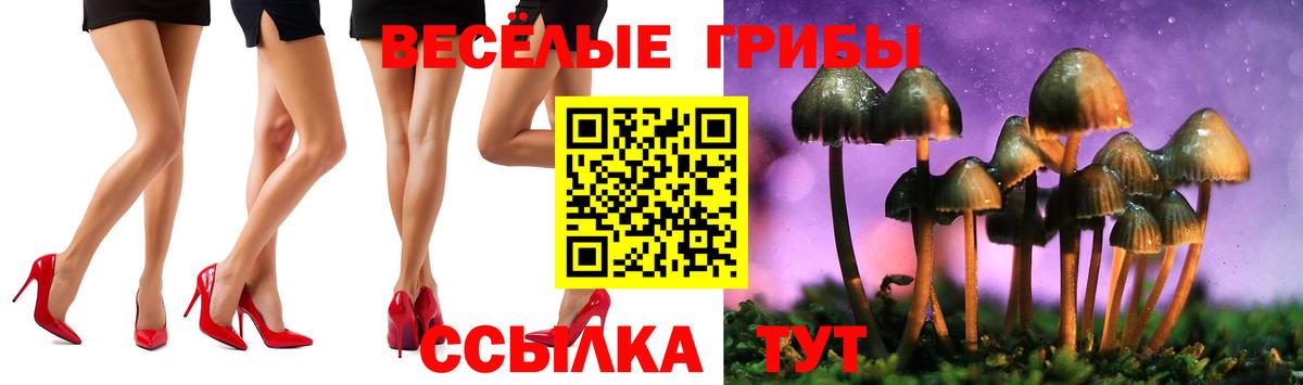 Псилоцибиновые грибы мицелий Соль-Илецк